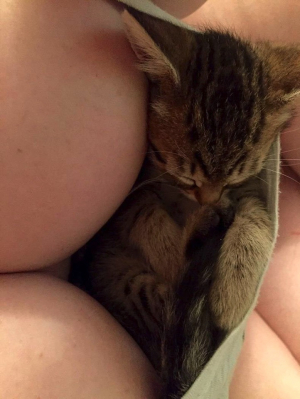 Tiny Pussy